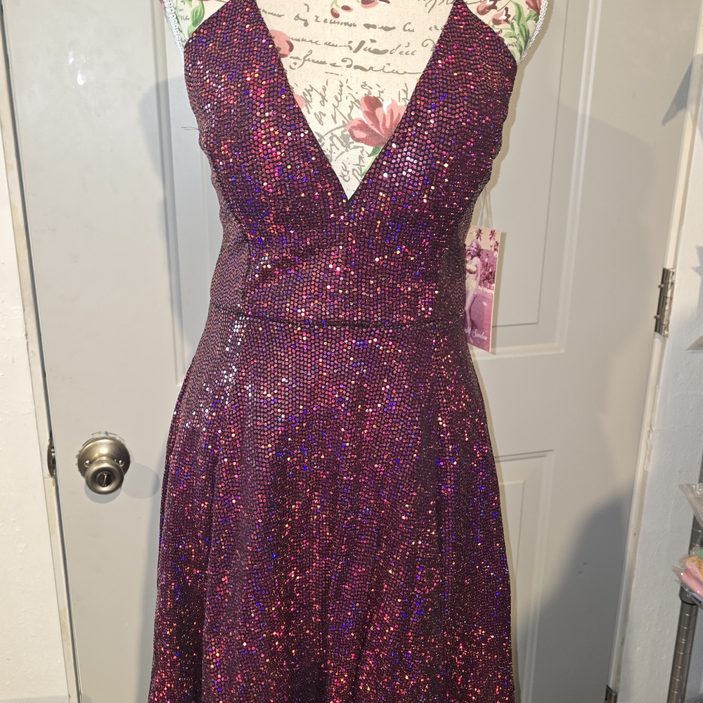 Purple Shiny Beautiful Dress